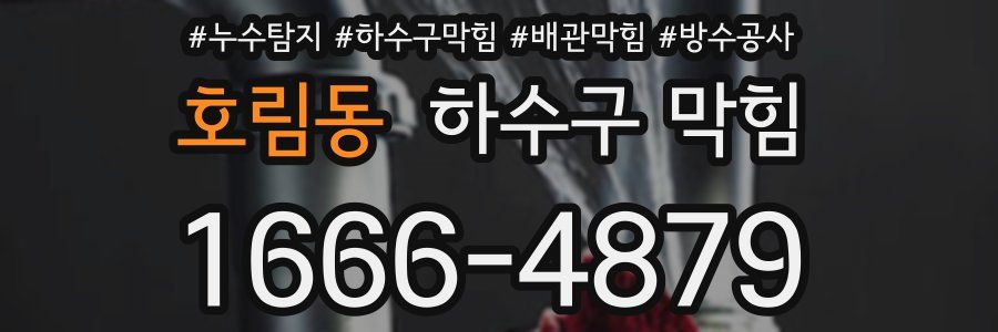 호림동 하수구 막힘