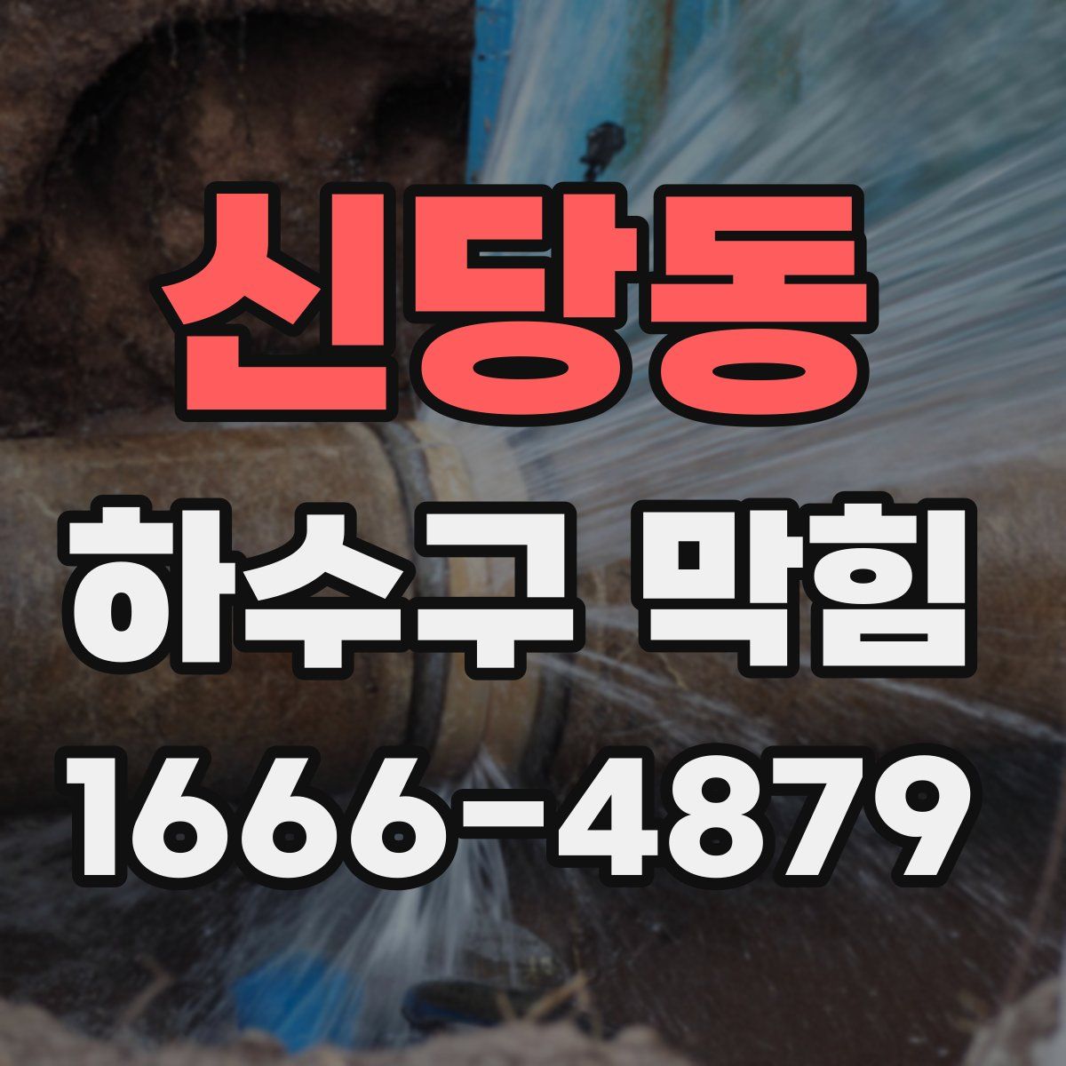신당동 하수구 막힘