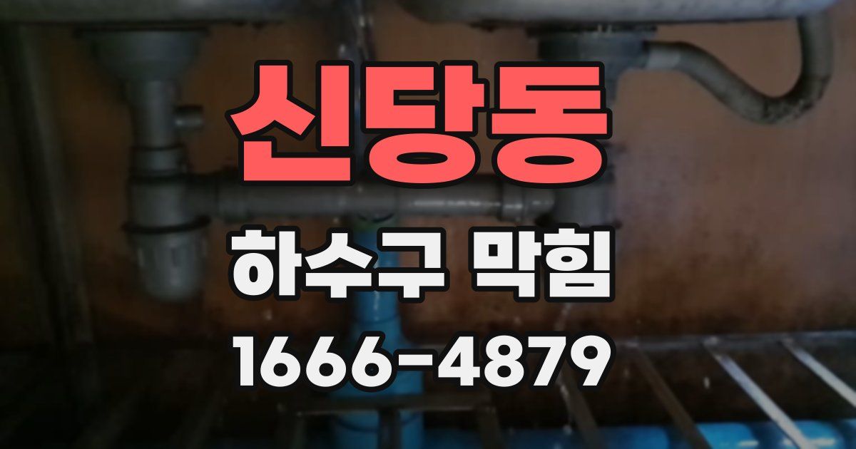신당동 하수구 막힘