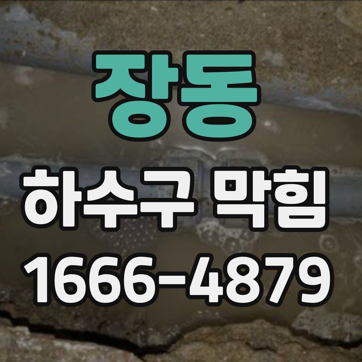 장동 하수구 막힘