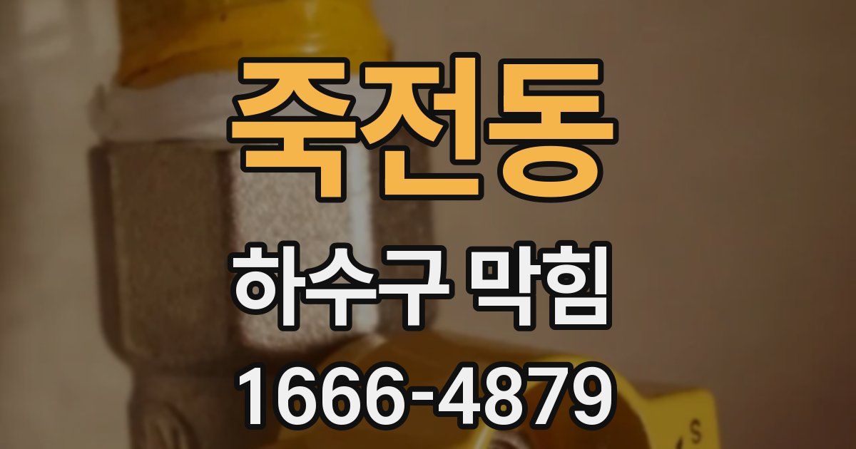 죽전동 하수구 막힘
