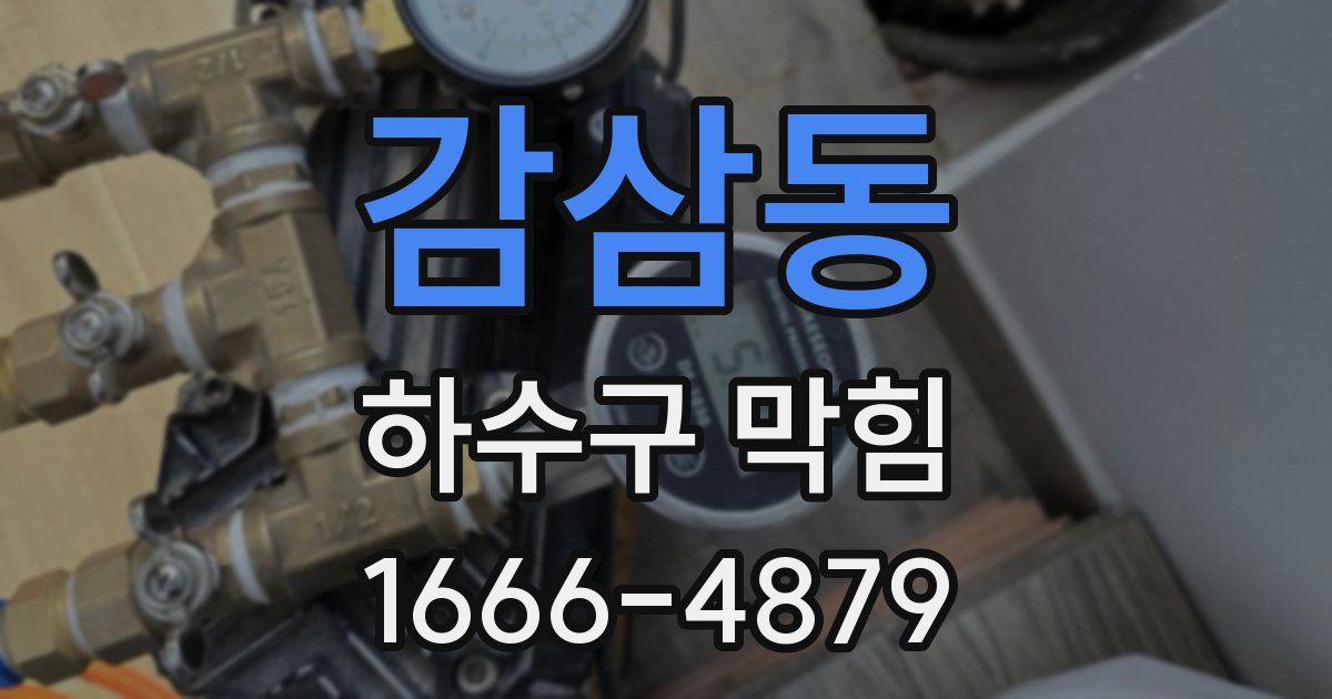 감삼동 하수구 막힘