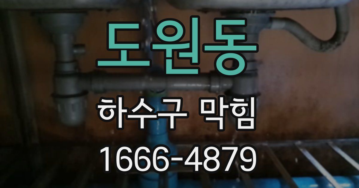 도원동 하수구 막힘