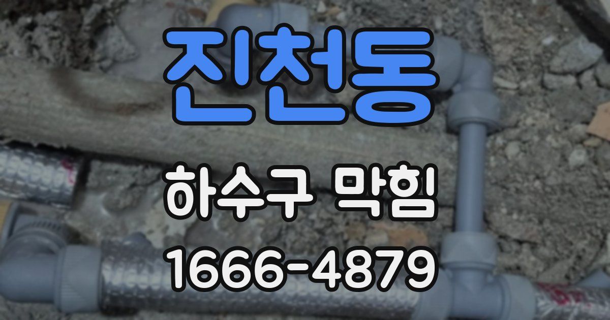 진천동 하수구 막힘