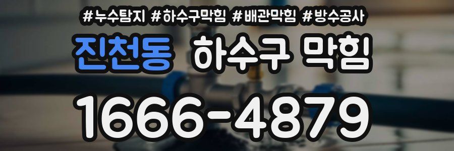 진천동 하수구 막힘
