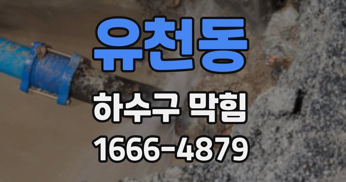 유천동 하수구 막힘