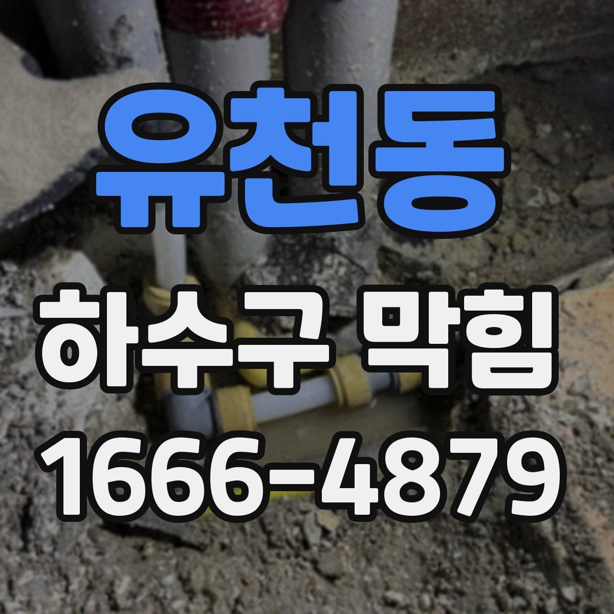 유천동 하수구 막힘
