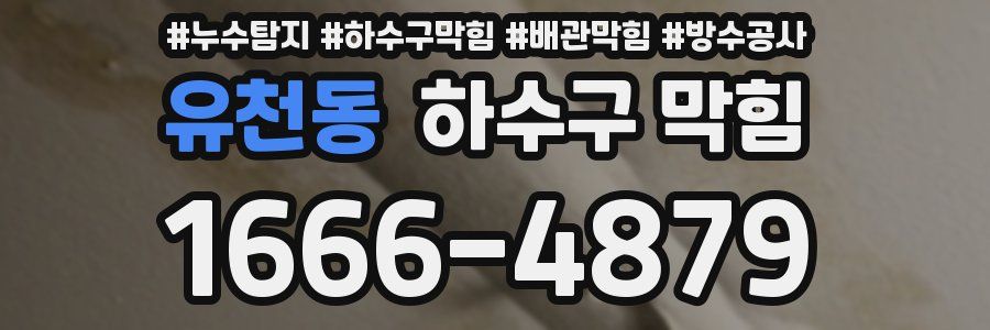 유천동 하수구 막힘