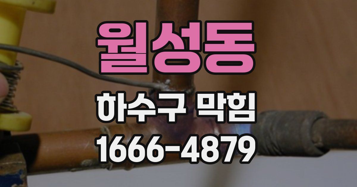 월성동 하수구 막힘