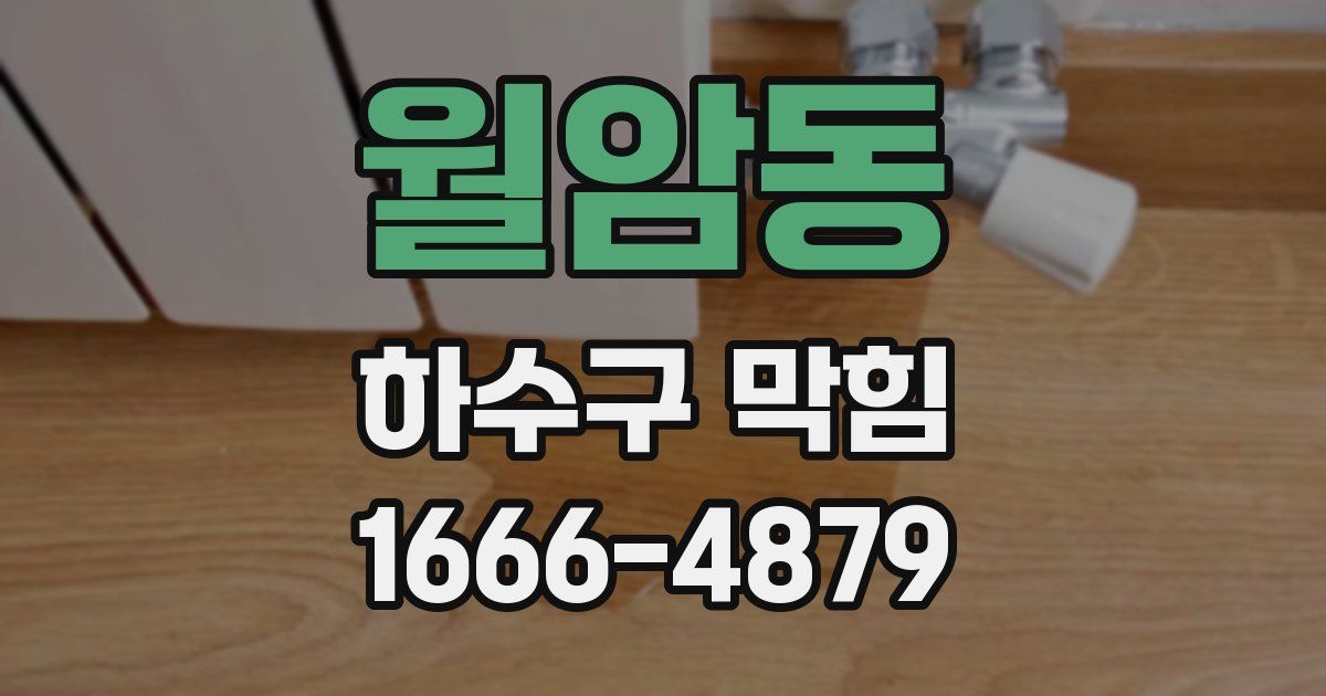 월암동 하수구 막힘