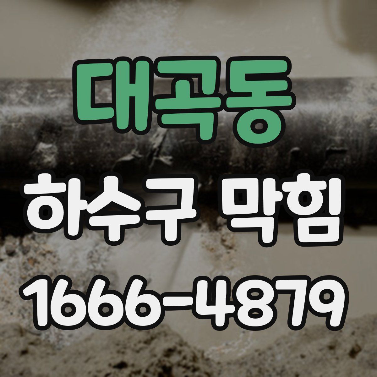 대곡동 하수구 막힘