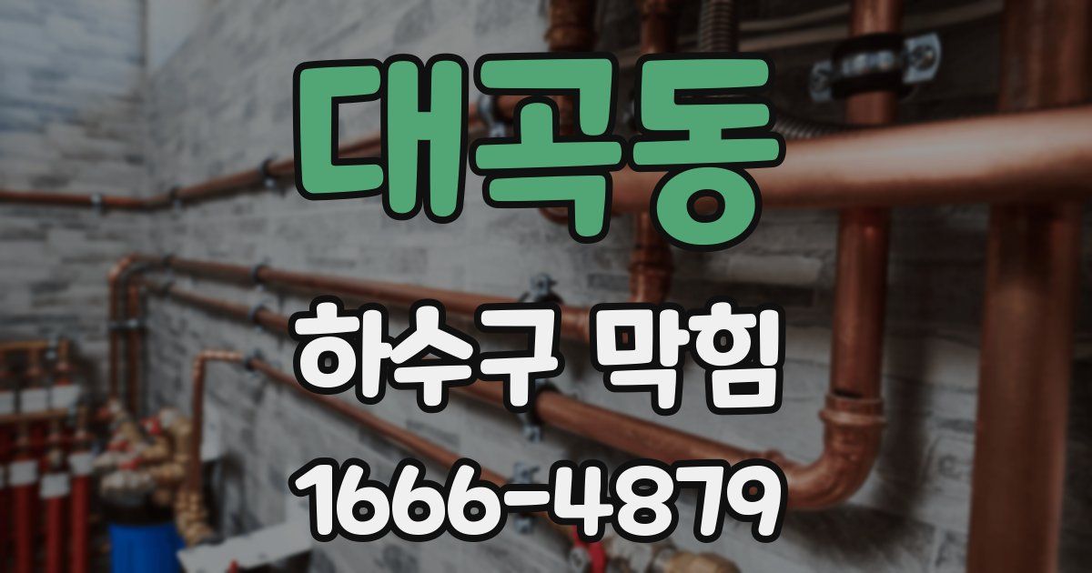 대곡동 하수구 막힘