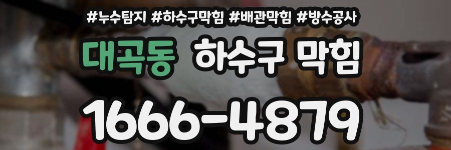 대곡동 하수구 막힘