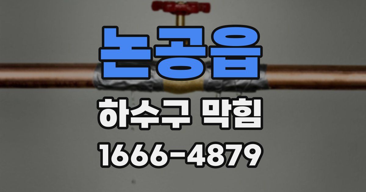 논공읍 하수구 막힘