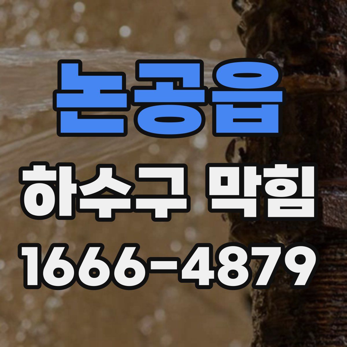 논공읍 하수구 막힘
