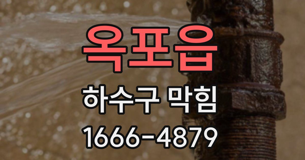 옥포읍 하수구 막힘