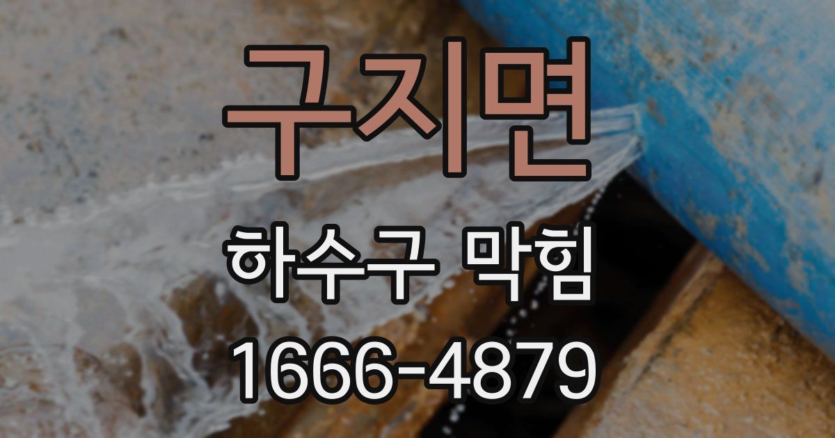 구지면 하수구 막힘