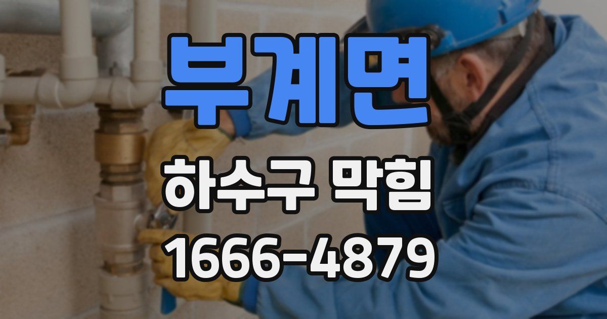 부계면 하수구 막힘