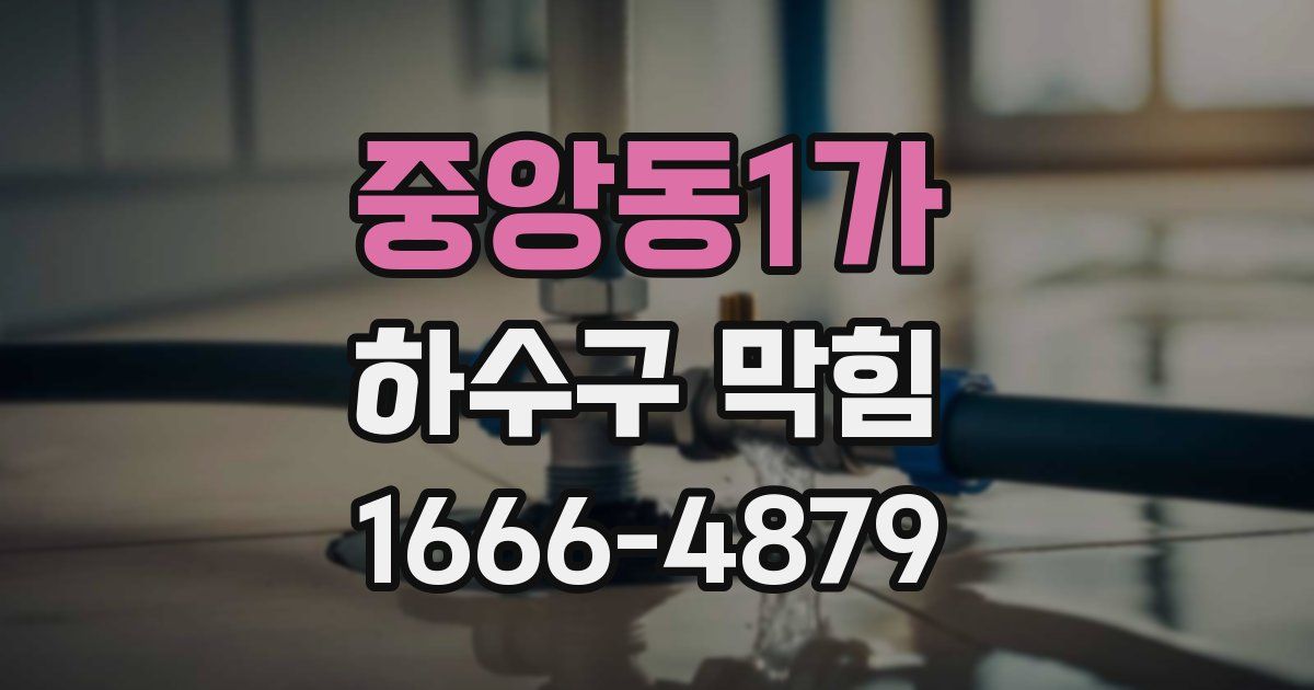 중앙동1가 하수구 막힘