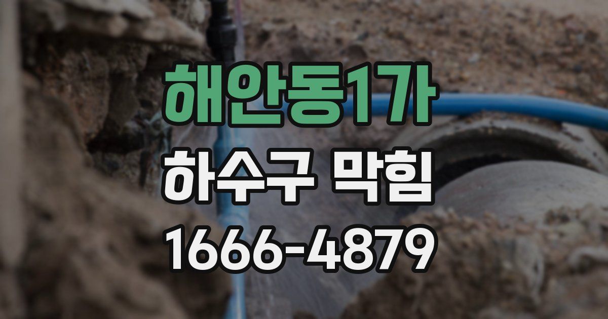 해안동1가 하수구 막힘