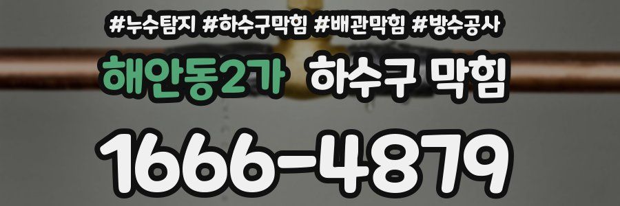 해안동2가 하수구 막힘