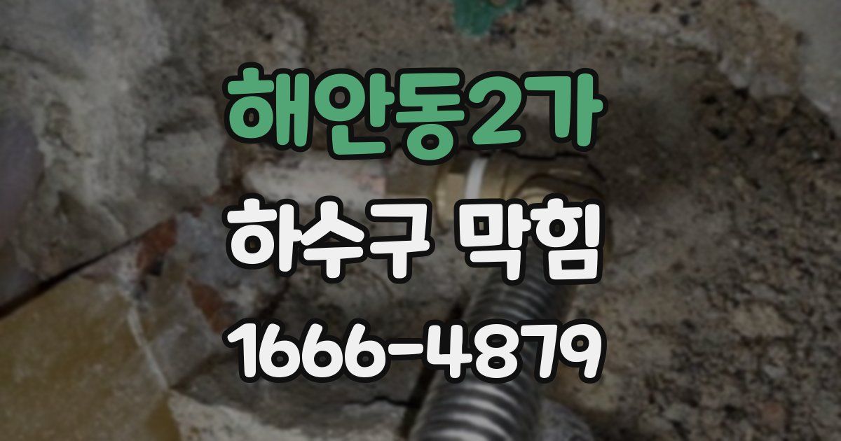 해안동2가 하수구 막힘