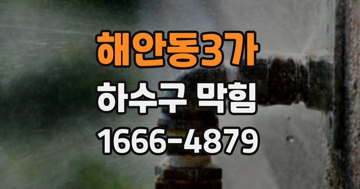 해안동3가 하수구 막힘