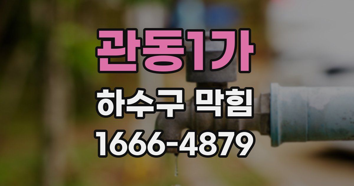 관동1가 하수구 막힘