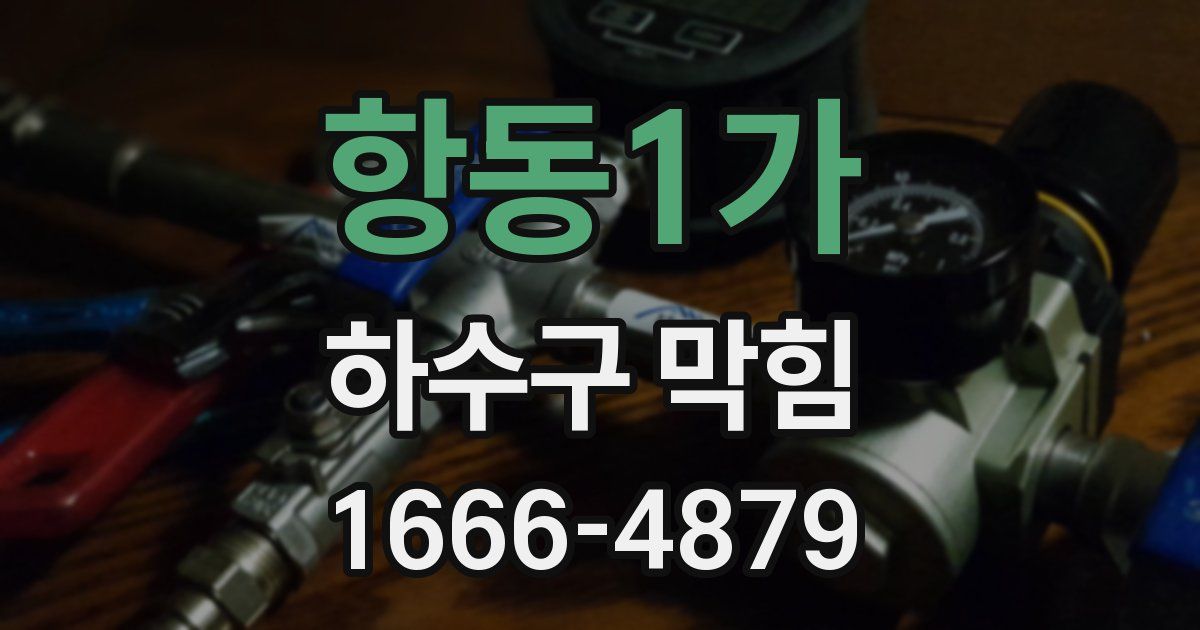 항동1가 하수구 막힘