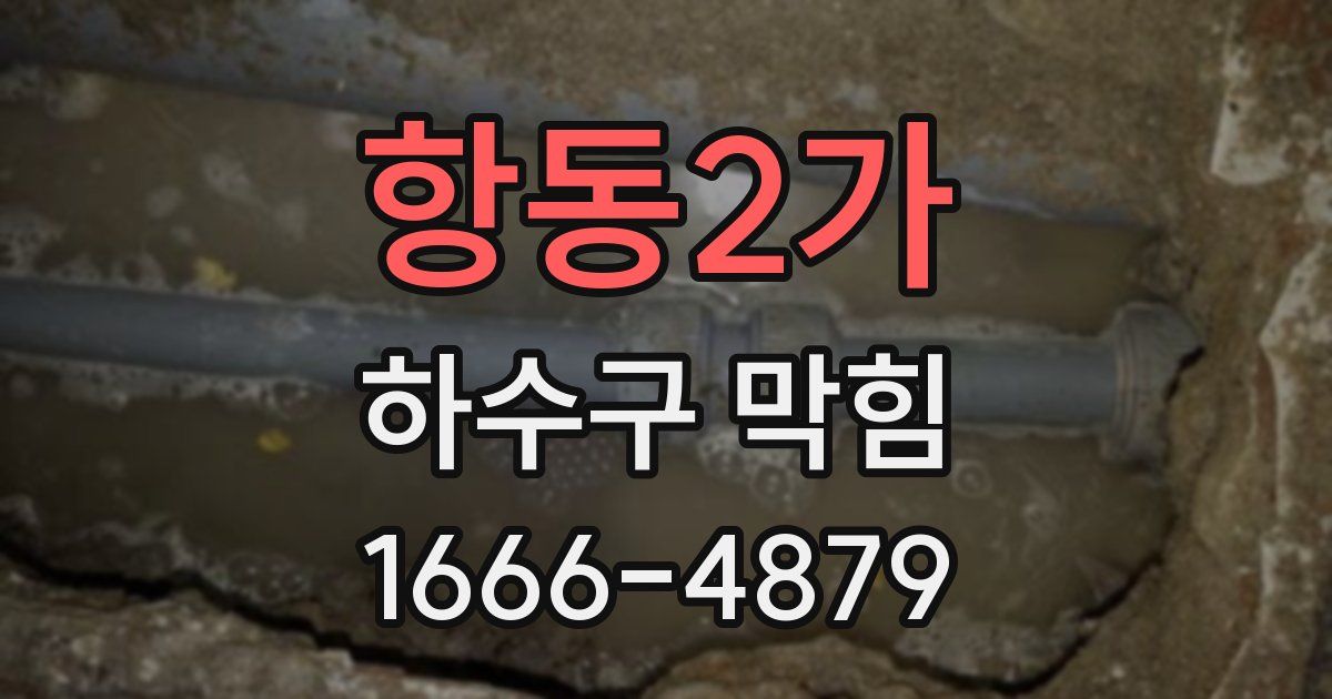 항동2가 하수구 막힘