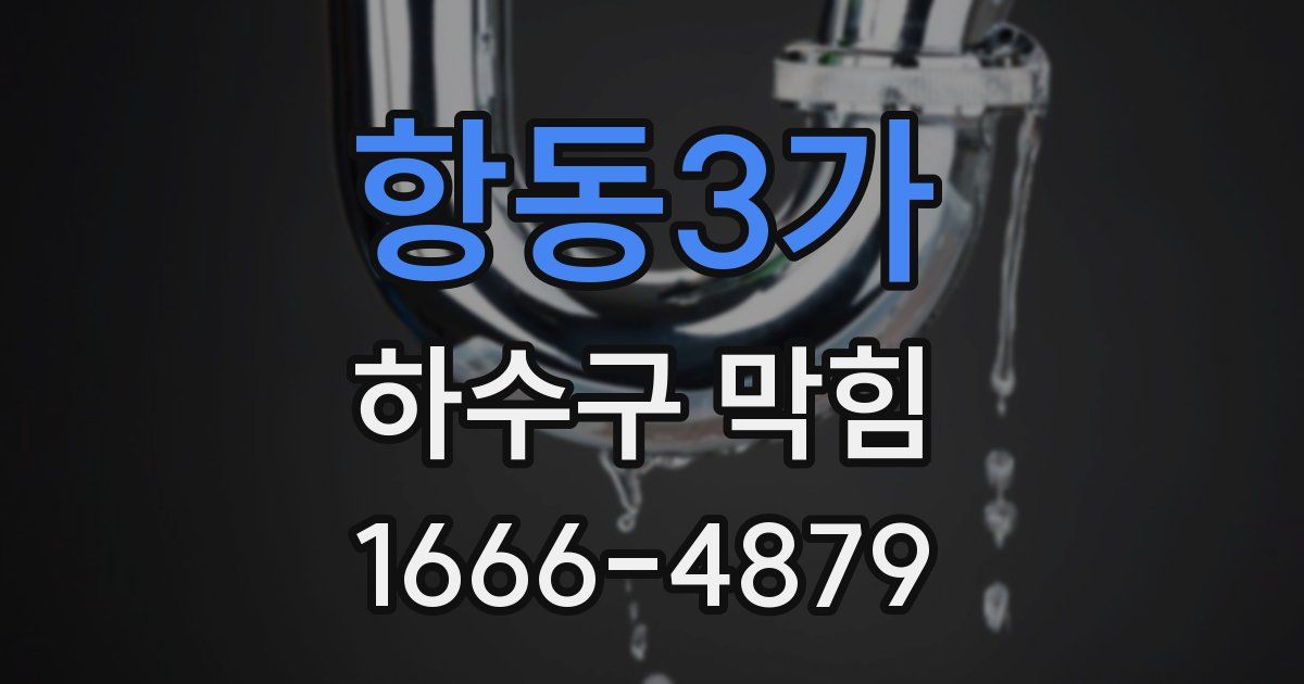 항동3가 하수구 막힘