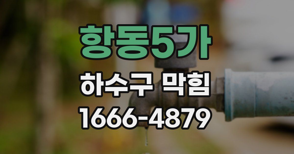 항동5가 하수구 막힘