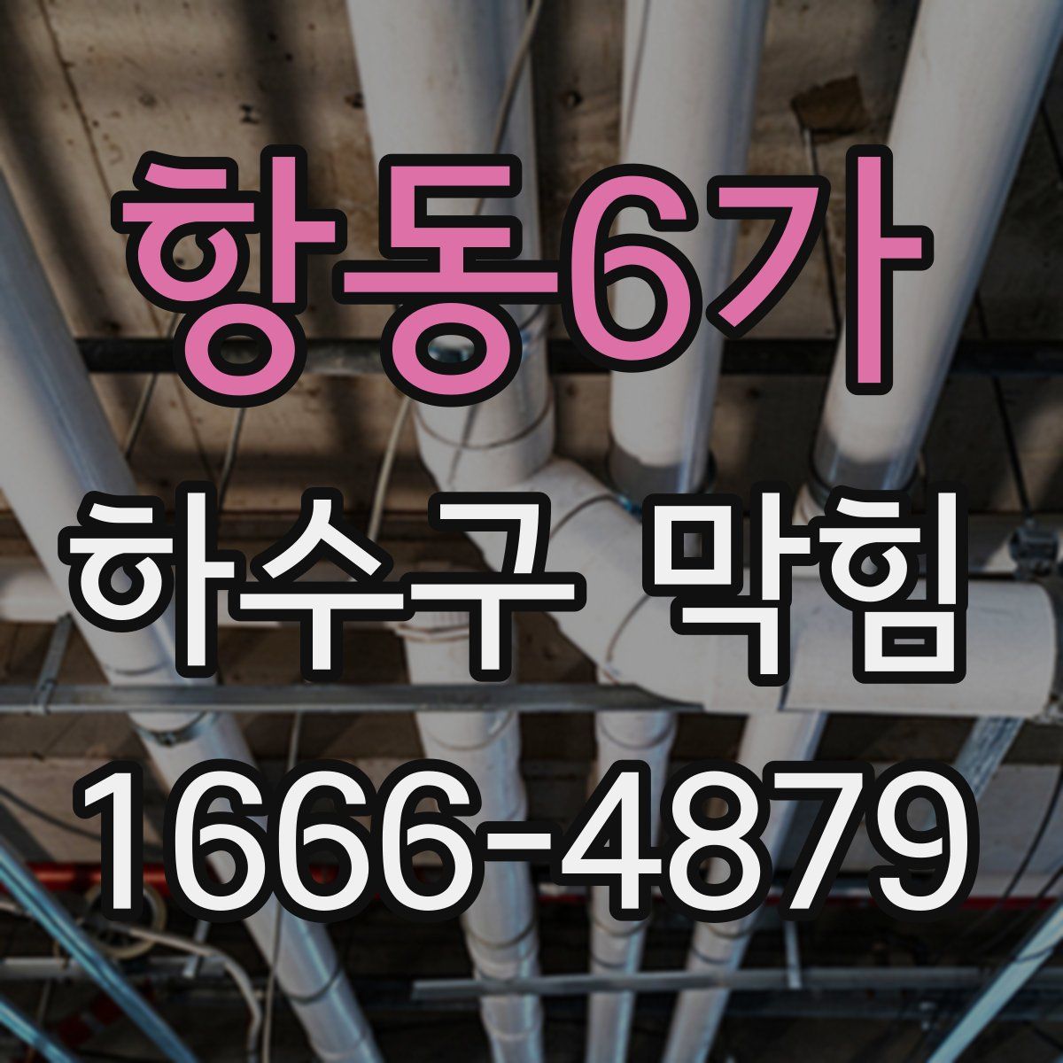 항동6가 하수구 막힘