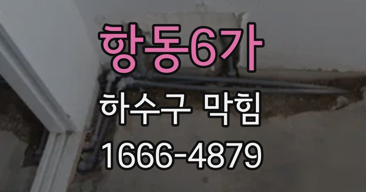 항동6가 하수구 막힘