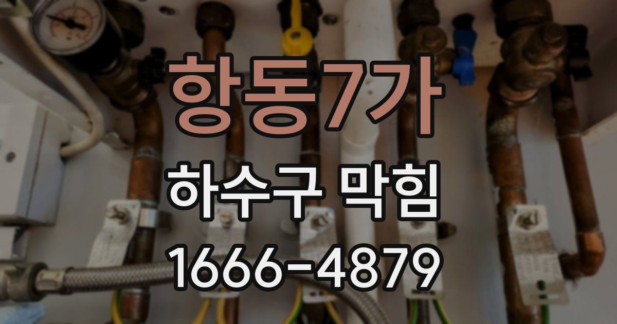 항동7가 하수구 막힘