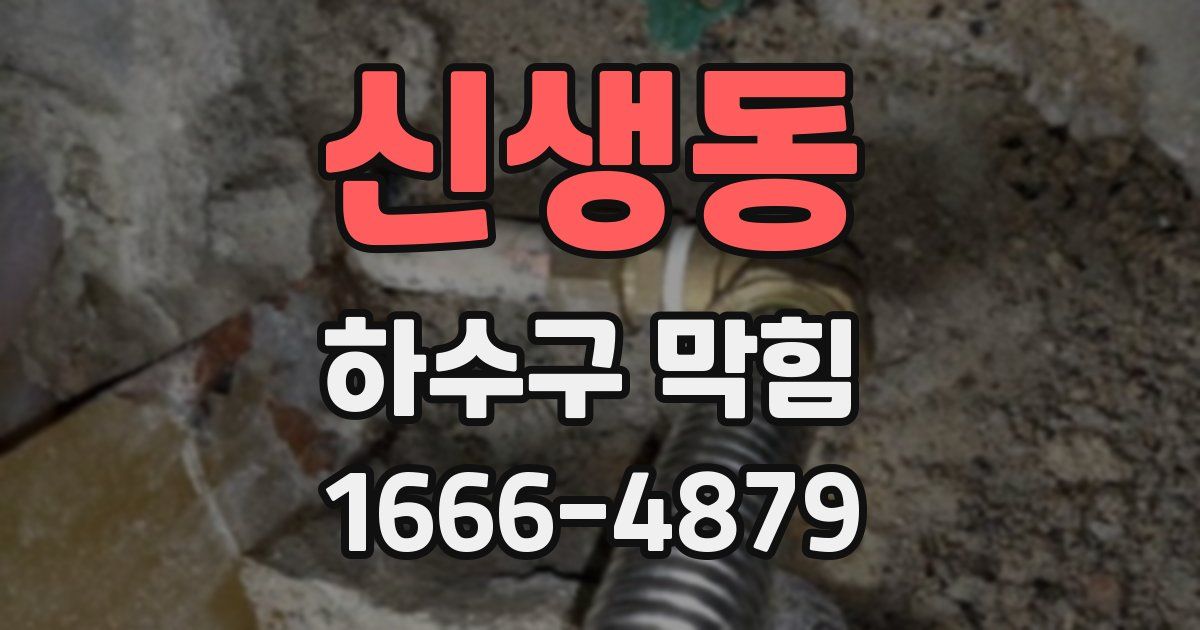 신생동 하수구 막힘