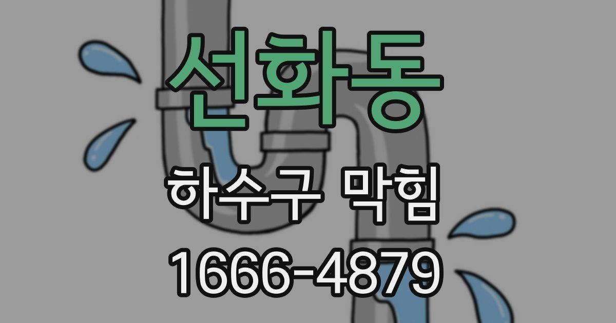 선화동 하수구 막힘