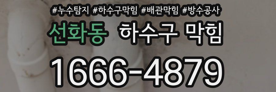 선화동 하수구 막힘