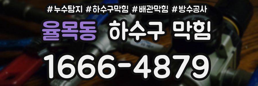 율목동 하수구 막힘
