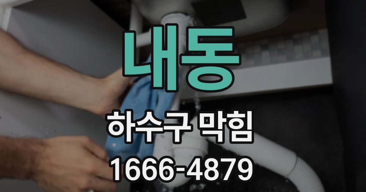 내동 하수구 막힘
