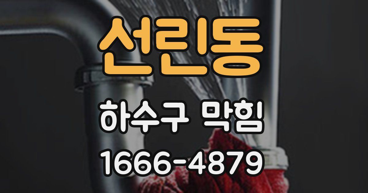 선린동 하수구 막힘