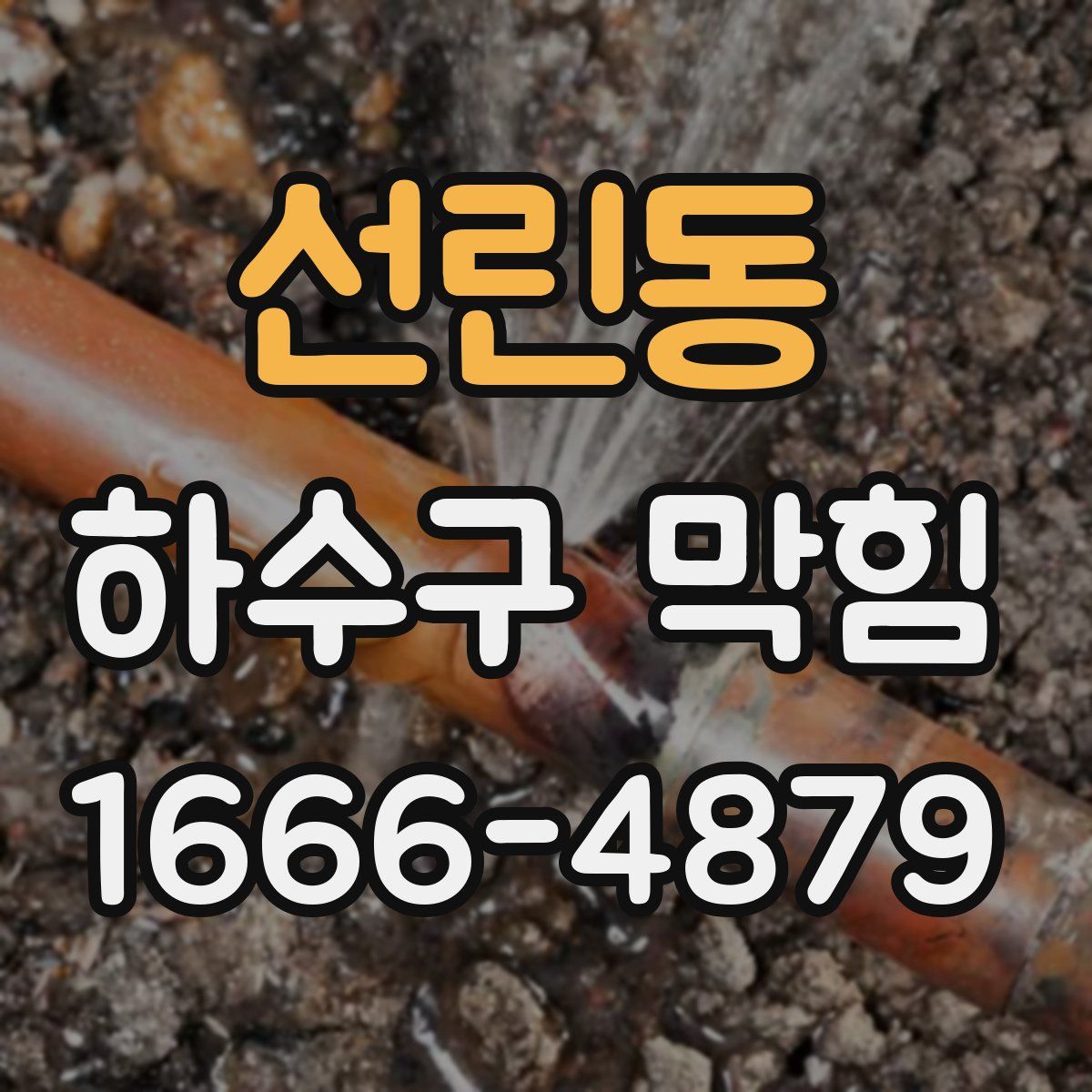 선린동 하수구 막힘