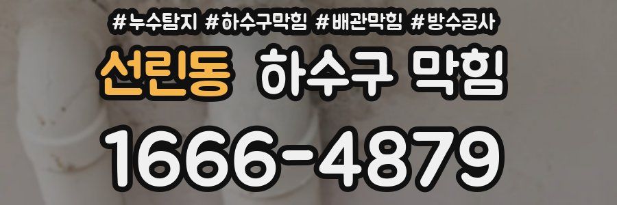 선린동 하수구 막힘