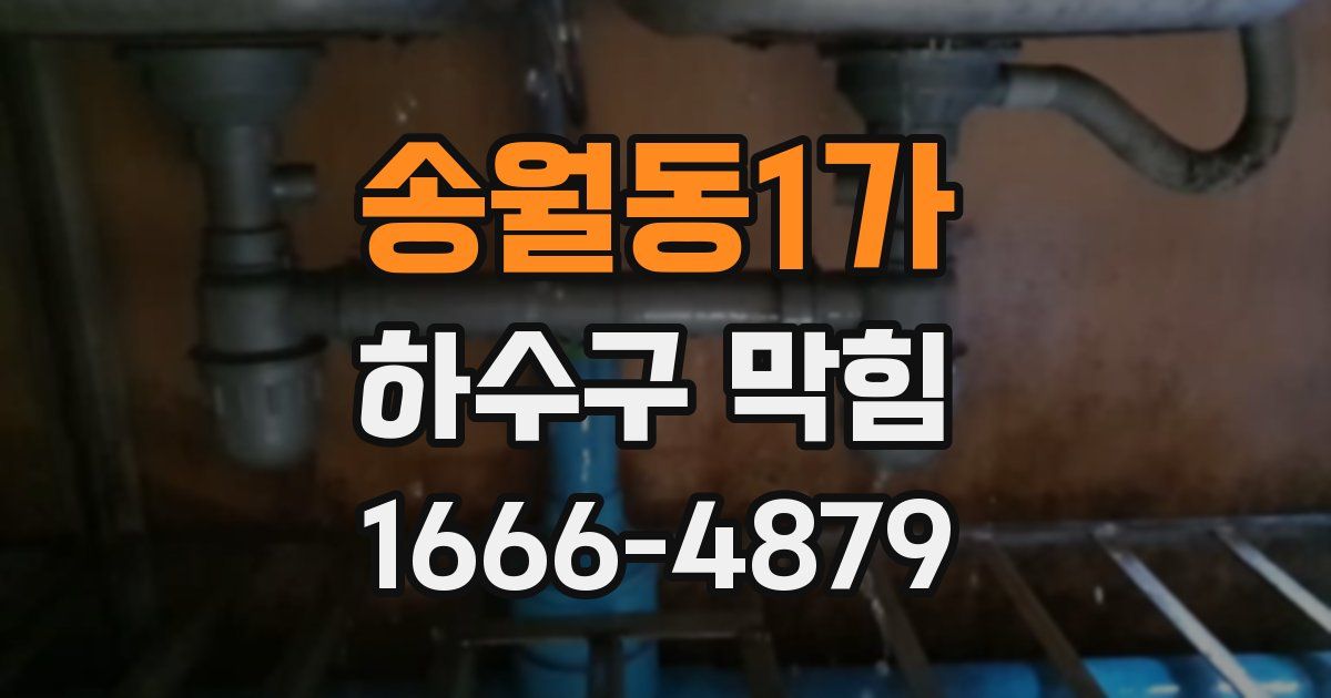 송월동1가 하수구 막힘