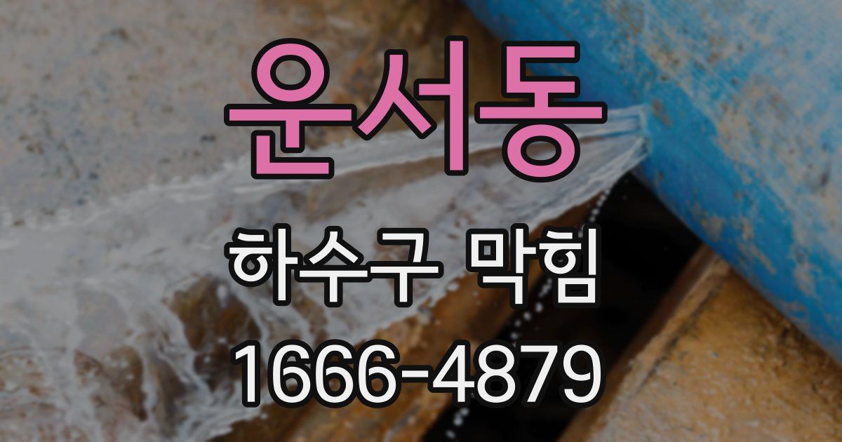 운서동 하수구 막힘