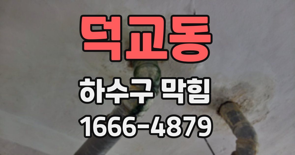 덕교동 하수구 막힘