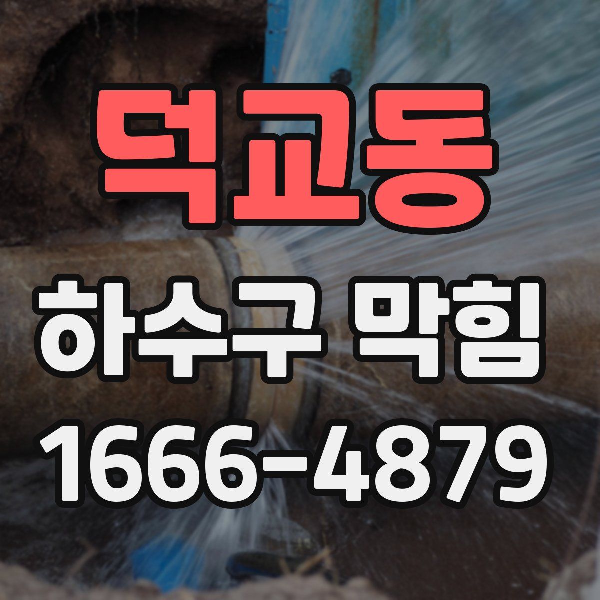 덕교동 하수구 막힘