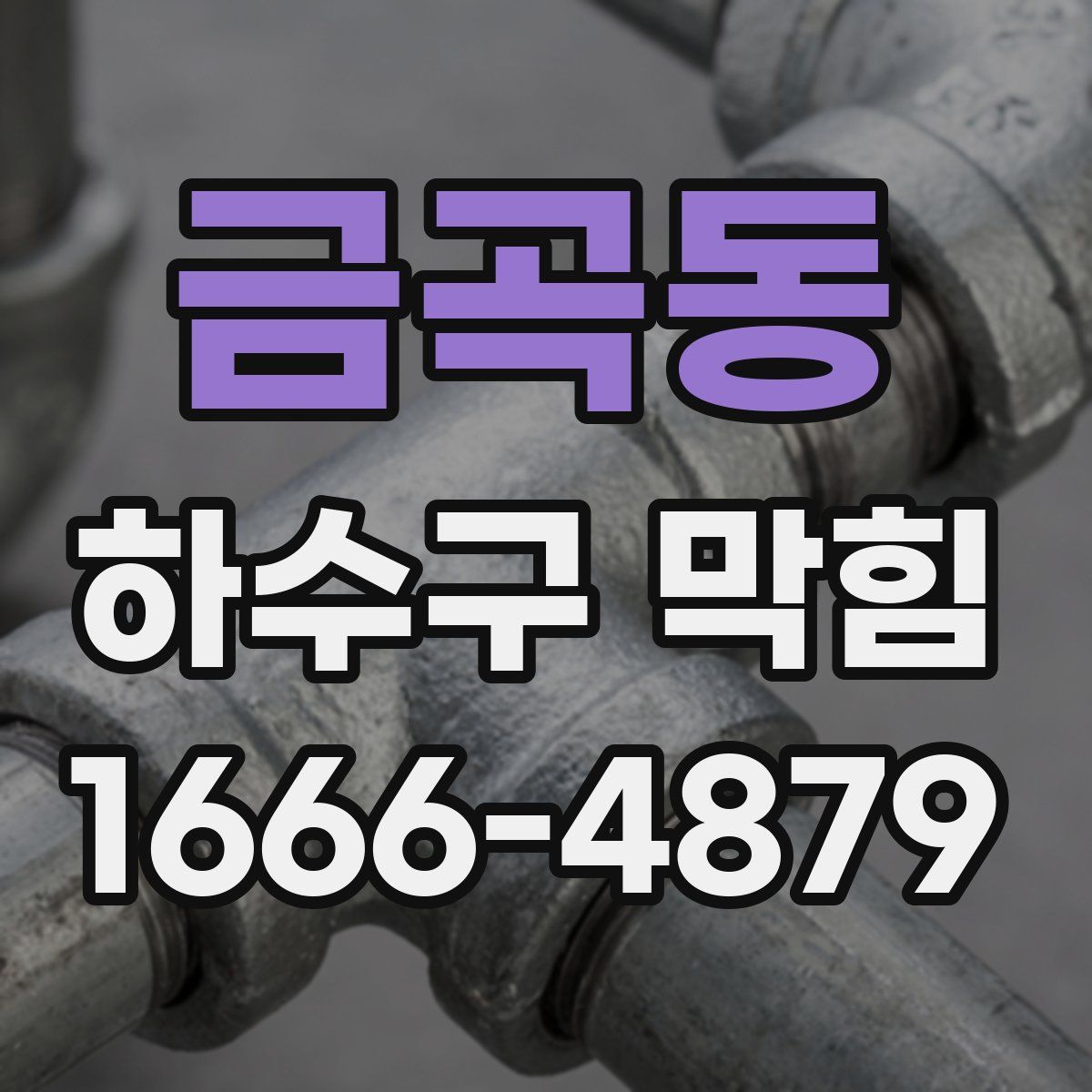 금곡동 하수구 막힘