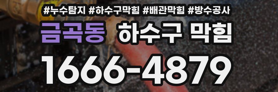금곡동 하수구 막힘