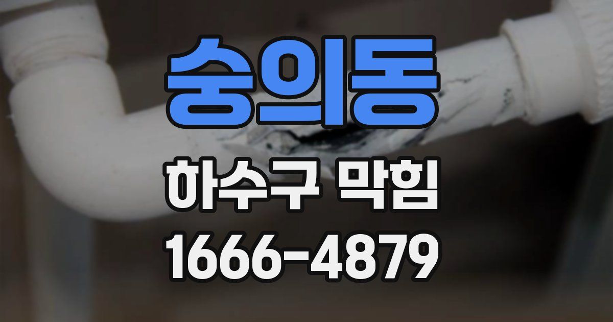 숭의동 하수구 막힘